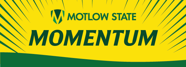 Momentum masthead on yellow background